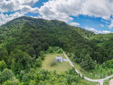 337 Split Pine Cove Clyde NC 28721