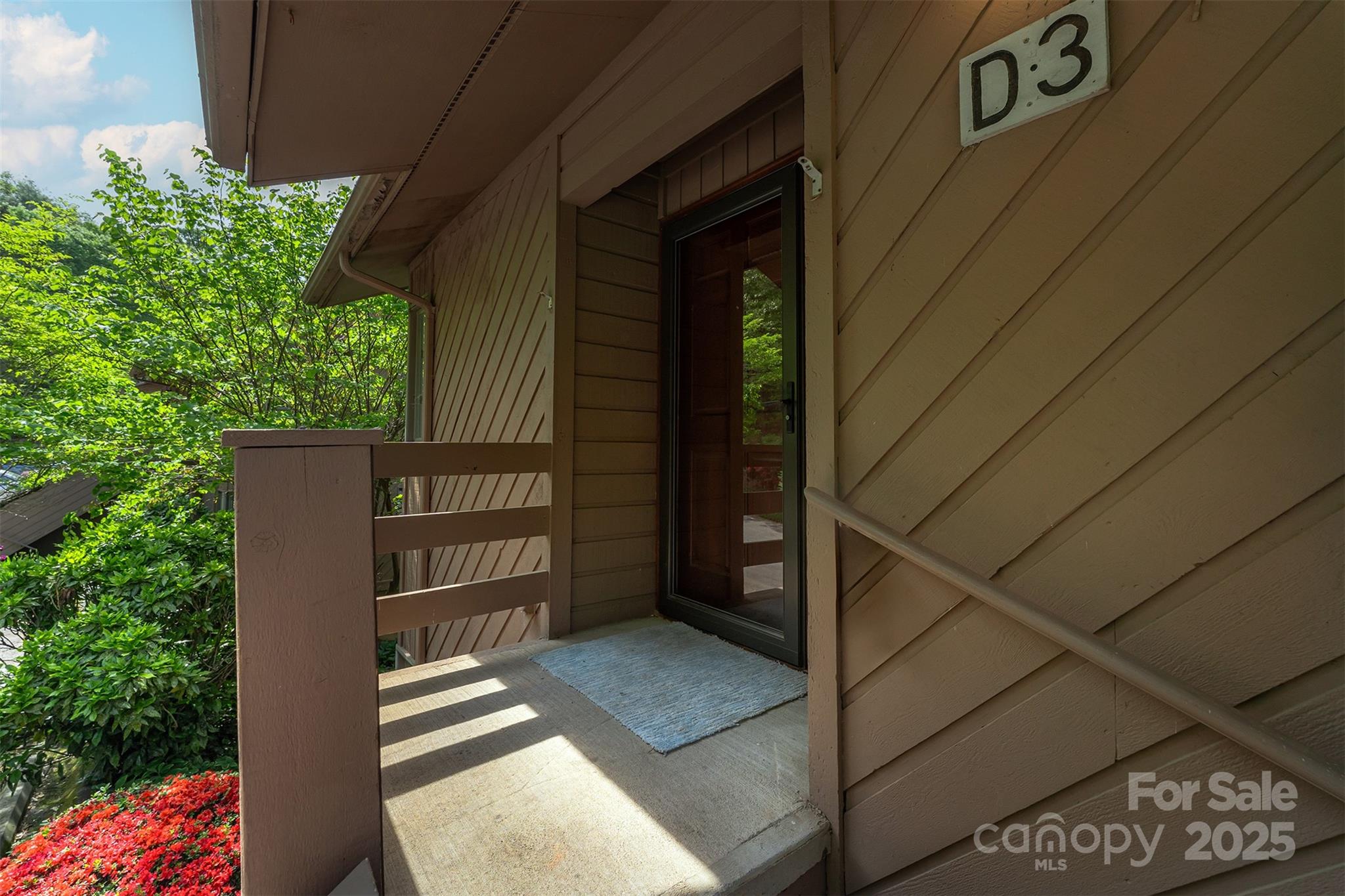 305 Piney Mountain Drive D3