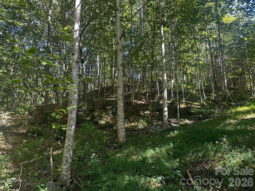 2.2 acre knoll top lot in The Highlands at Lake Lure......This great building site is less than 5 minutes to Ingles Grocery, Lake Lure and Chimney Rock State Park. If you're seeking peace and quiet in a natural setting, this 2.2 acre tract is priced to sell at only $49,500.