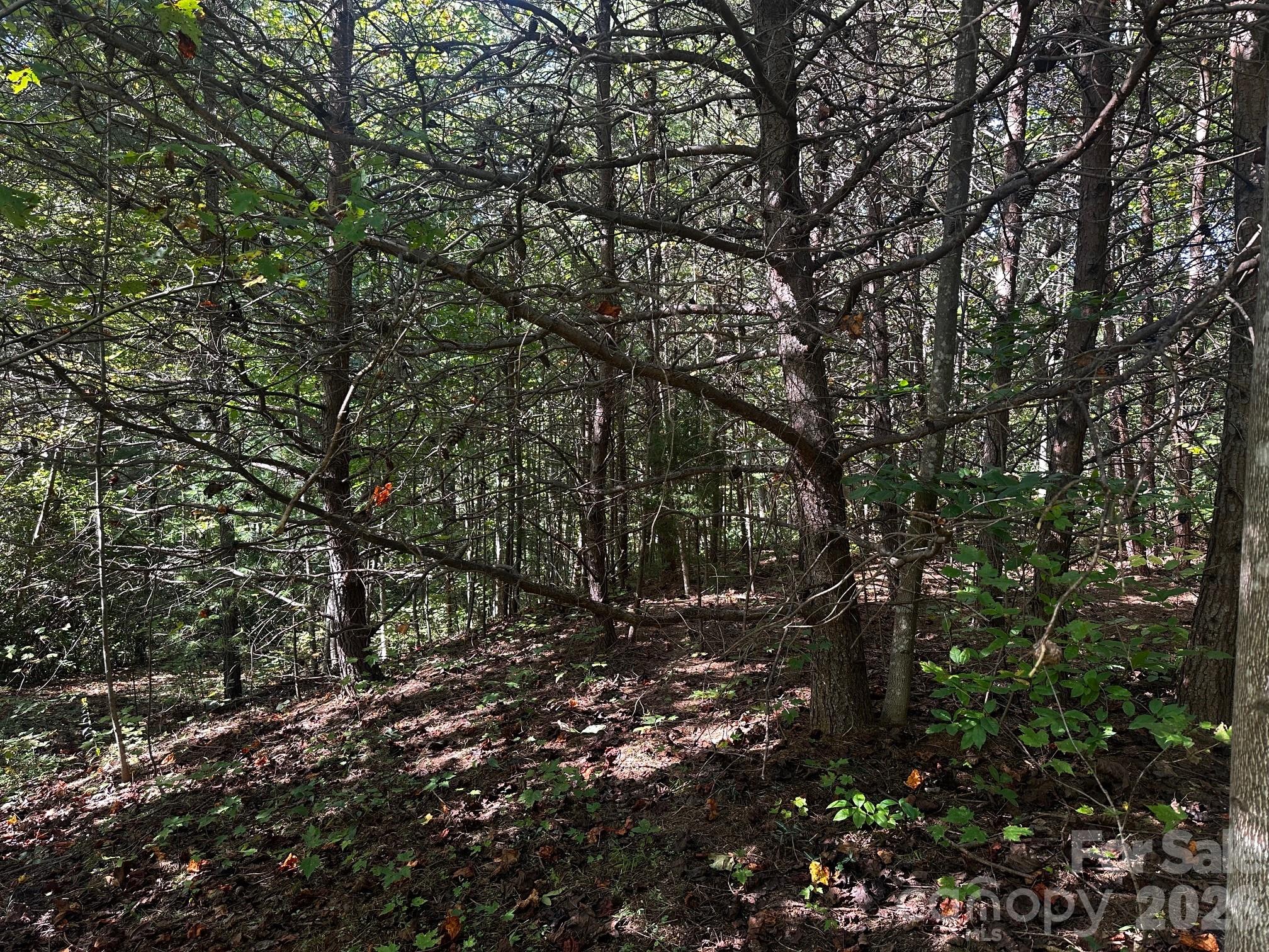 Highlands of Lake Lure - Land