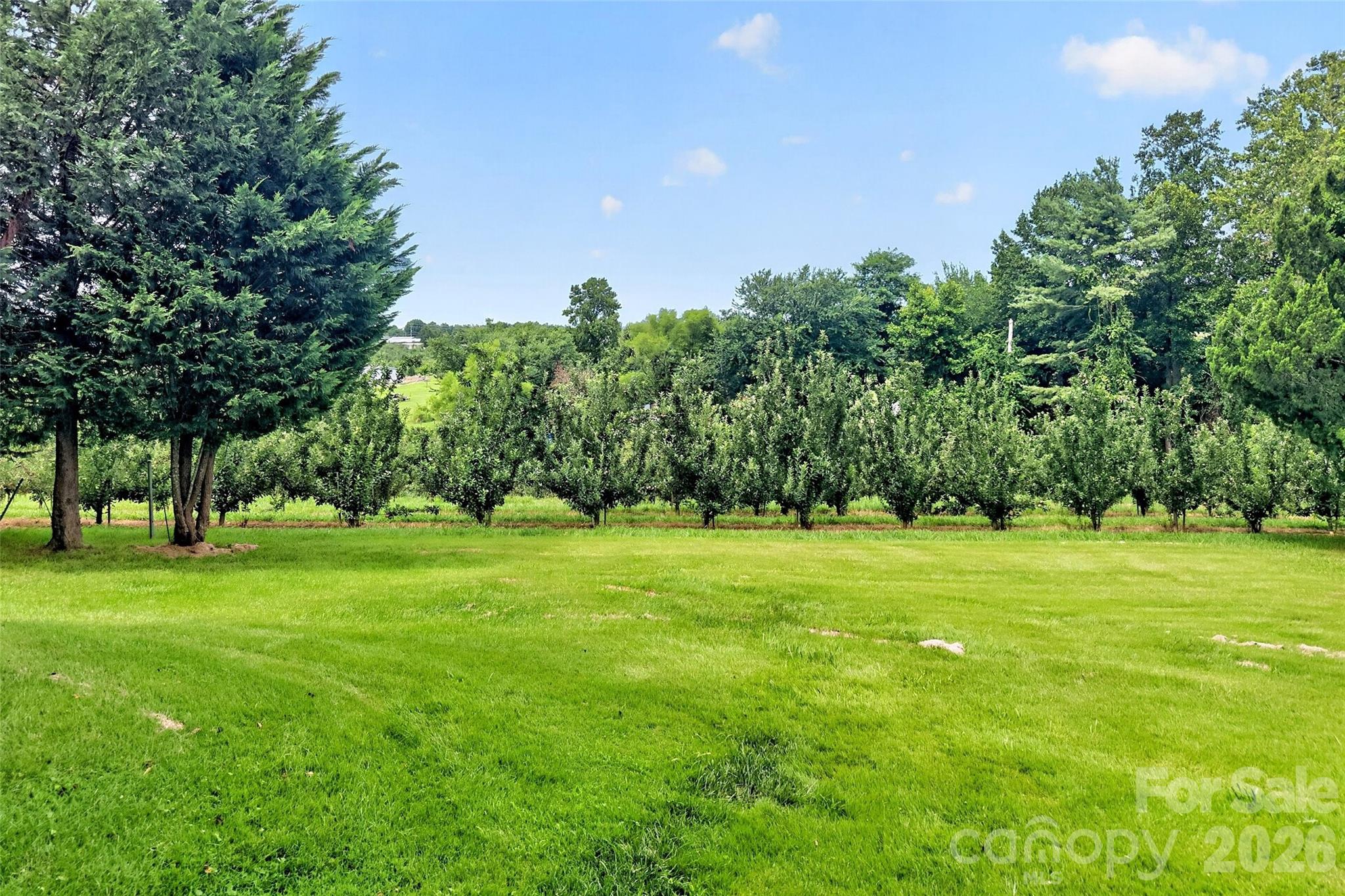 26 Sweet Briar Path Way