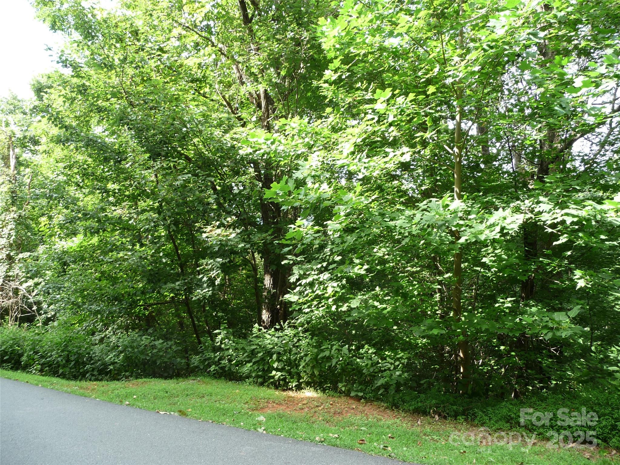Lot 35 Morning Ride Drive Lot 35