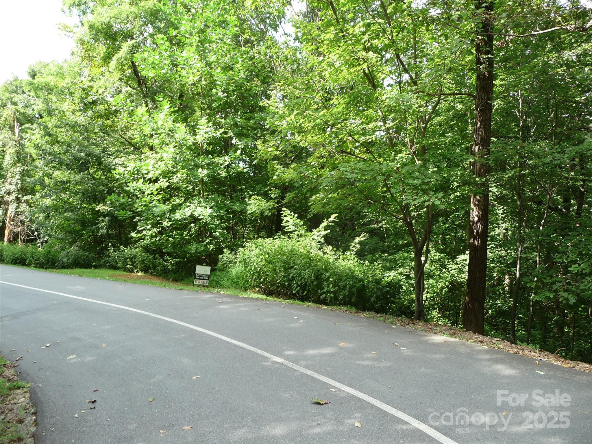 Lot 35 Morning Ride Drive Lot 35