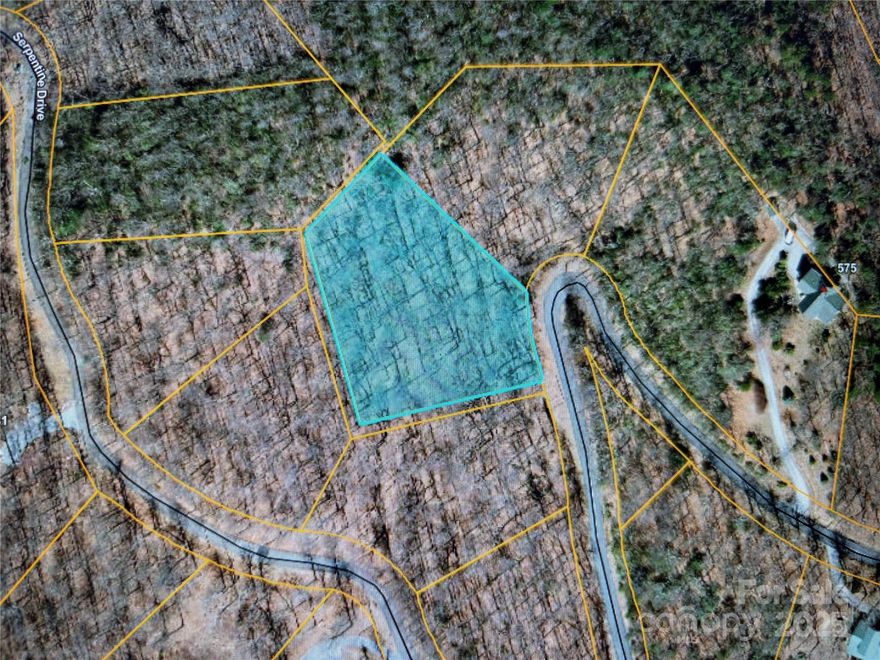 Build your dream home on Morning Ride Drive! This lovely 1.2 acre homesite features a private buildable homesite for your family getaway. This homesite has a cut-in driveway already (just needs clearing). Lot requires Septic & Well installed. Lot 35 is adjacent to Lot 70 Serpentine Drive (1.34 acre) which is also for sale. Combine both for spacious building lot! White Oak Mountain Association features include: Shunkawauken Waterfall, Pavillon for Community/Private Parties, ponds for fishing, walking trails and amazing long range views at Scenic Overlook. Close to quaint towns of Columbus, Tryon and Landrum. Also close to cities Asheville, NC & Greenville, SC for fine dining, concerts, theatre, shopping, hiking, biking, ziplining, FENCE & the many year round activities at the Tryon International Equestrian Center. Visit the White Oak Mountain Association website at WOMAINC.org for more information!