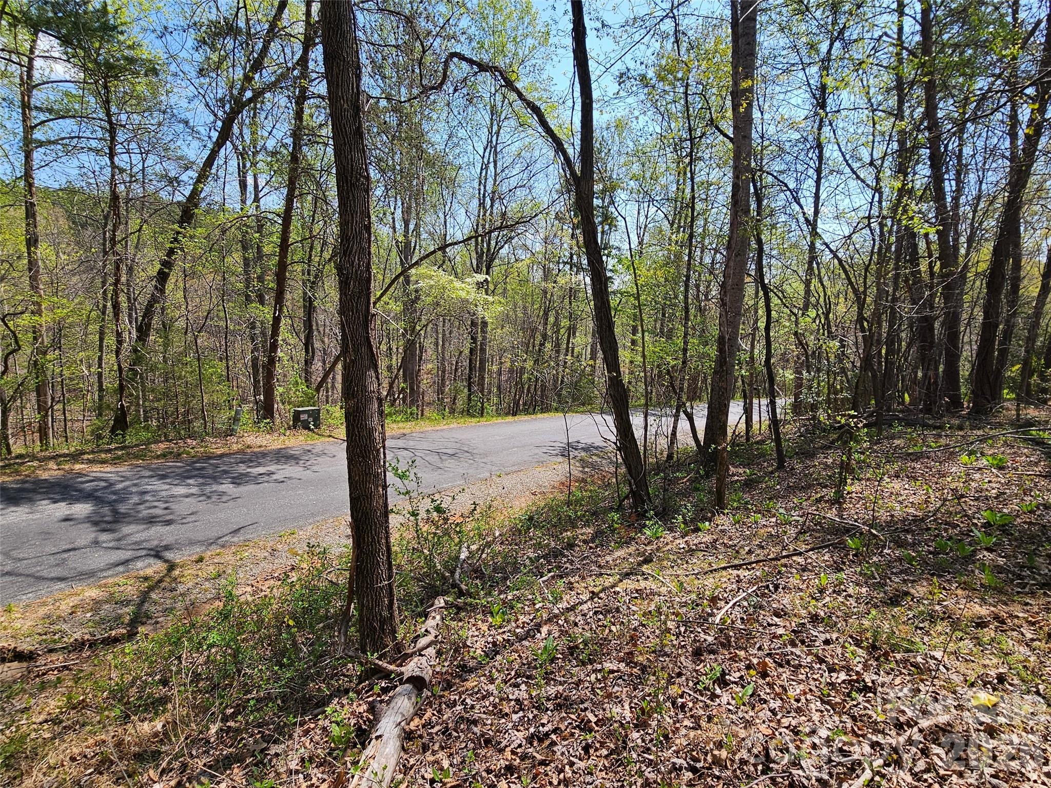 0 Whitney Boulevard 57