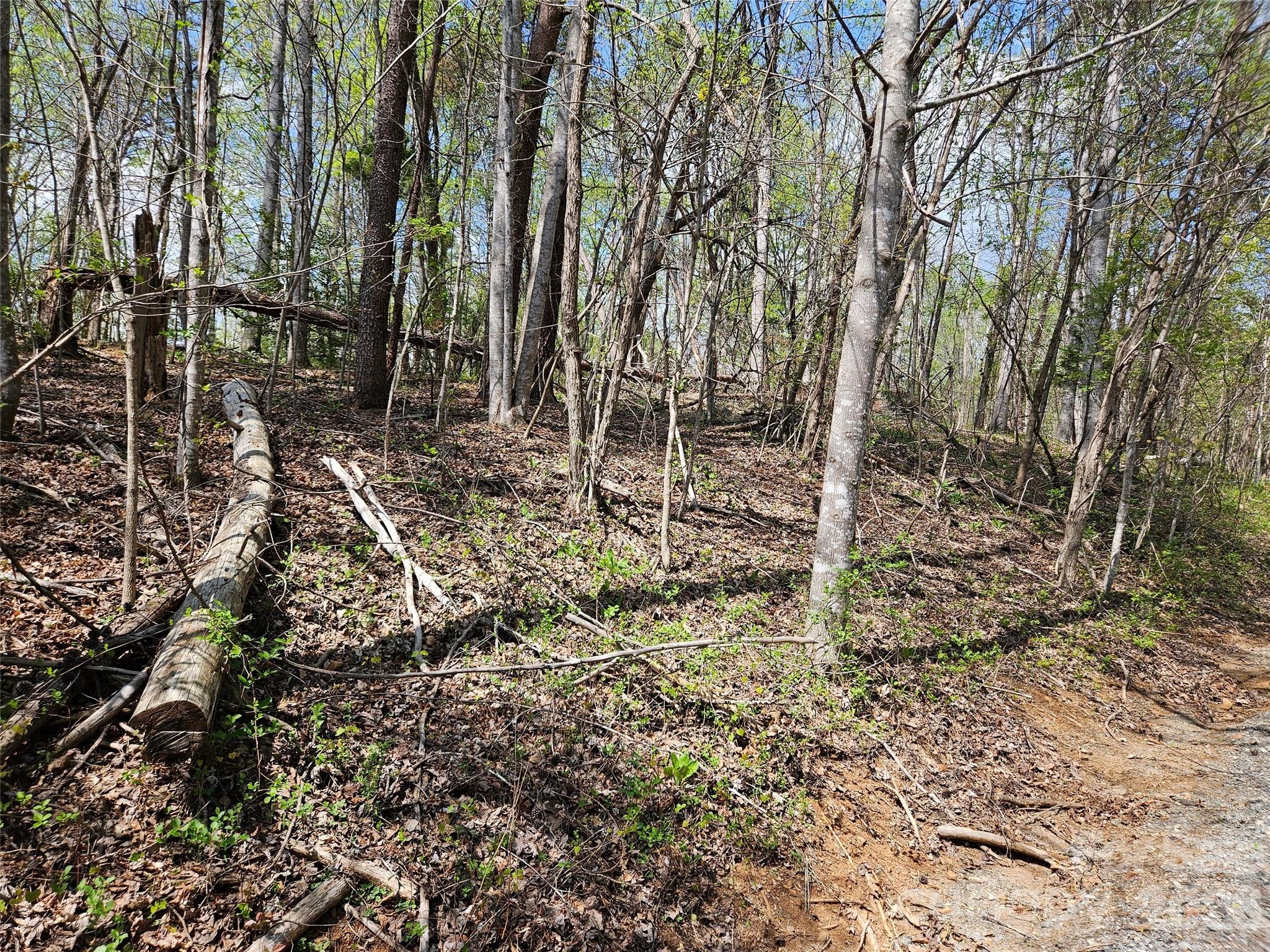 Rumbling Bald on Lake Lure - Land