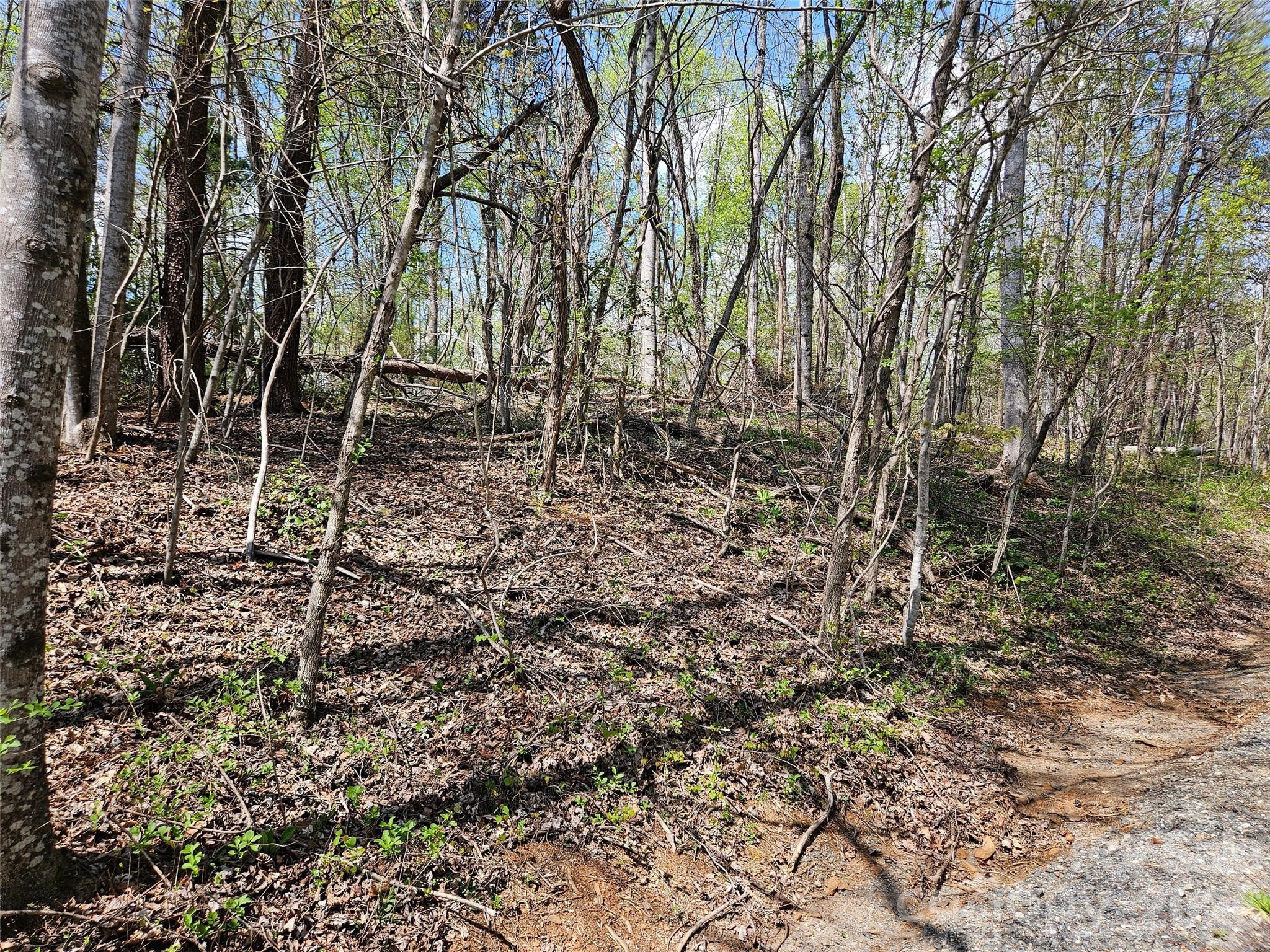 Rumbling Bald on Lake Lure - Land