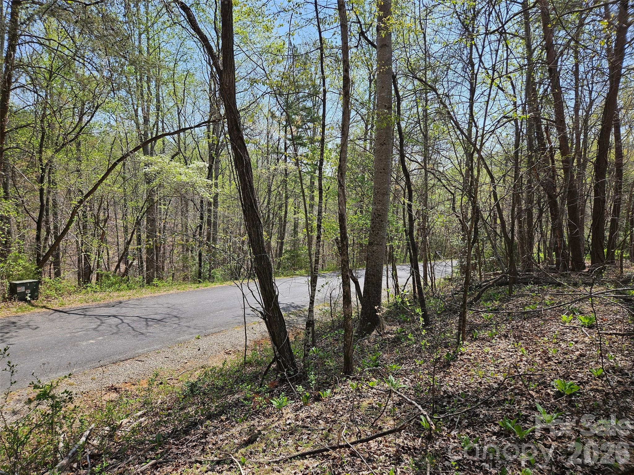 Rumbling Bald on Lake Lure - Land