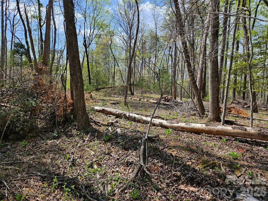 Lot 57 in Apple Valley offers an exceptional opportunity to build your dream home in the heart of Lake Lure’s sought-after Rumbling Bald community. Positioned above road grade, this homesite provides a highly favorable build site with excellent topography, making construction more efficient and design possibilities more flexible. Located just minutes from the shores of Lake Lure this property delivers both privacy and convenience. Enjoy access to an impressive array of amenities: two championship golf courses, several swimming pools, a private beach, marina, Wellness Center, lighted tennis courts, and multiple on-site dining options.