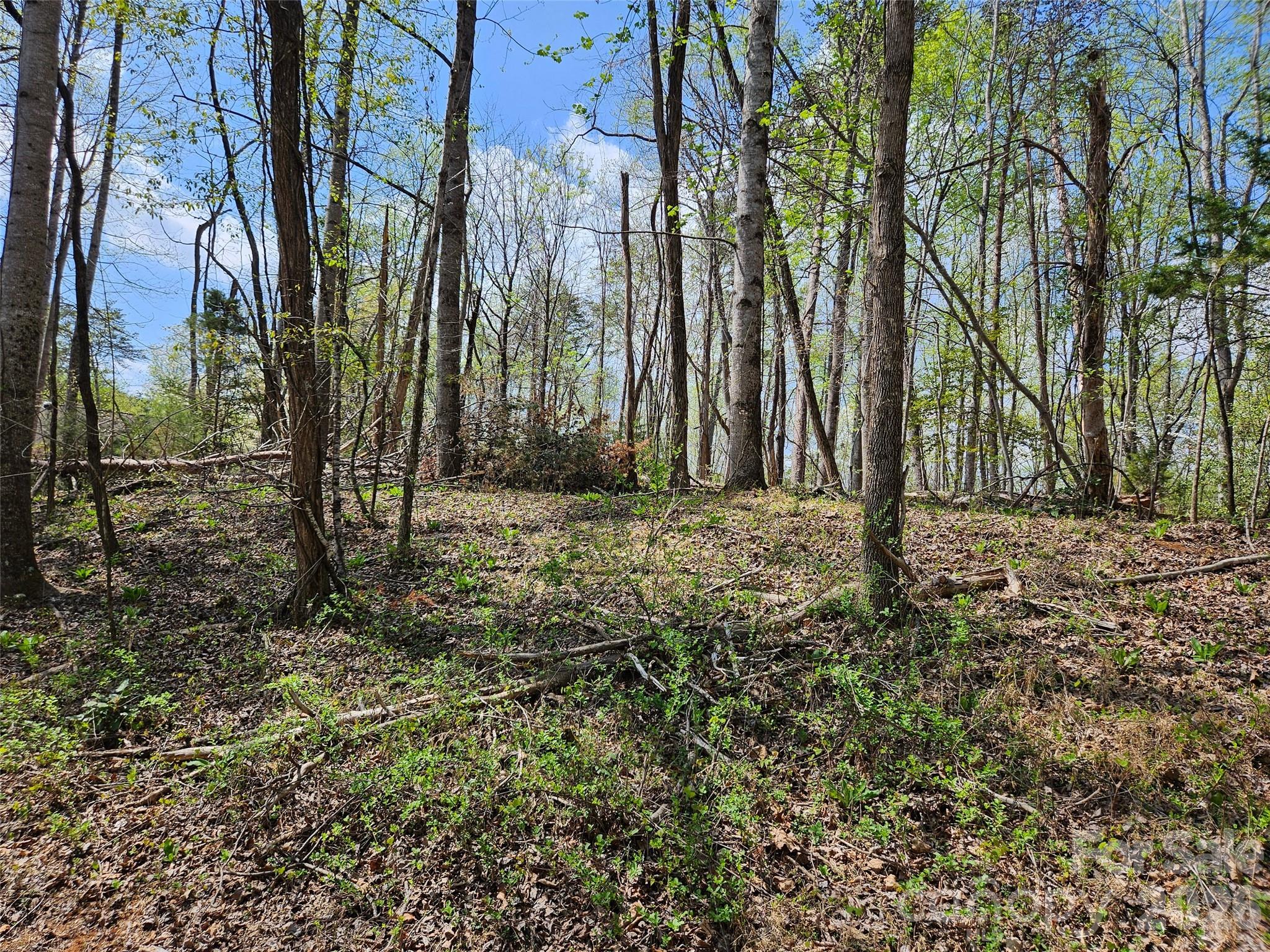 0 Whitney Boulevard 57