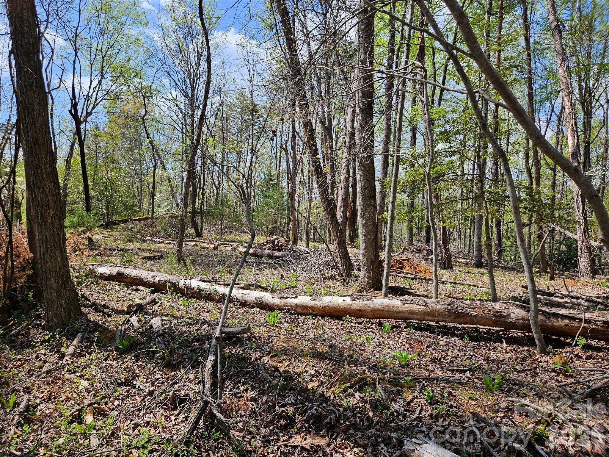 0 Whitney Boulevard 57