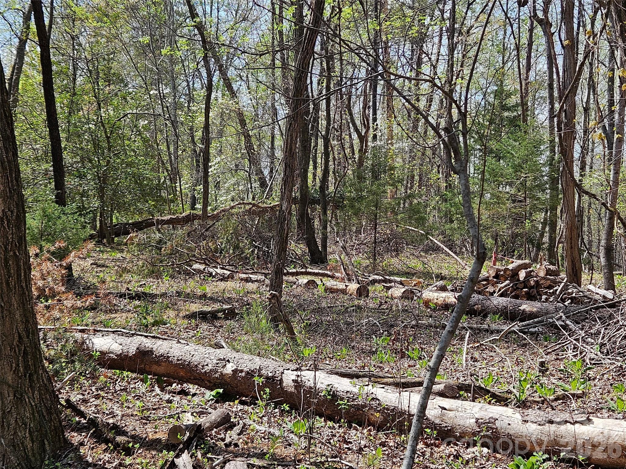 Rumbling Bald on Lake Lure - Land