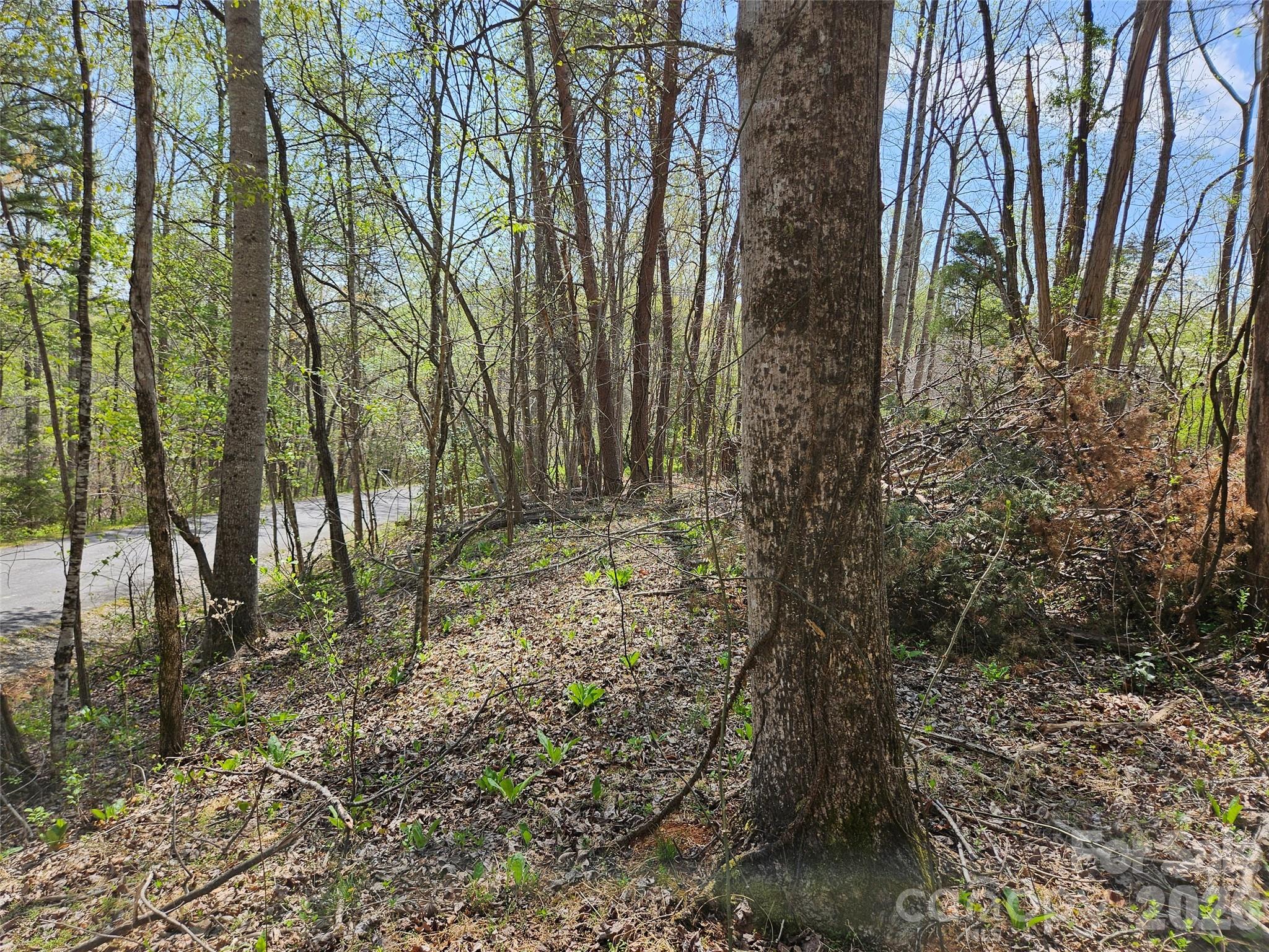Rumbling Bald on Lake Lure - Land