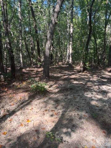 Photo of TBD Bud Arndt Road, Maiden, NC 28650 (MLS # 4413162)