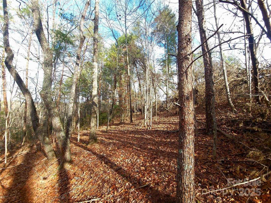 Discover a private retreat nestled in the heart of Polk County, North Carolina—an area renowned for its scenic countryside and equestrian culture. This 1.59-acre parcel offers exceptional flexibility for your vision, whether you aim to build a ?home, establish a ?homestead, or ?to camp without restriction when you visit. The terrain is level with a gentle slope, making planning and development straightforward while maintaining its natural character. Fully tree-covered, the land provides year-round privacy? and a peaceful woodland setting?.? ??Legal access is by deeded right-of-way, but the road has not been completed. Please let me know if you would like more information or a tour of the property.