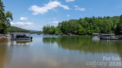 45 Harborside Drive 45 Nebo NC 28761