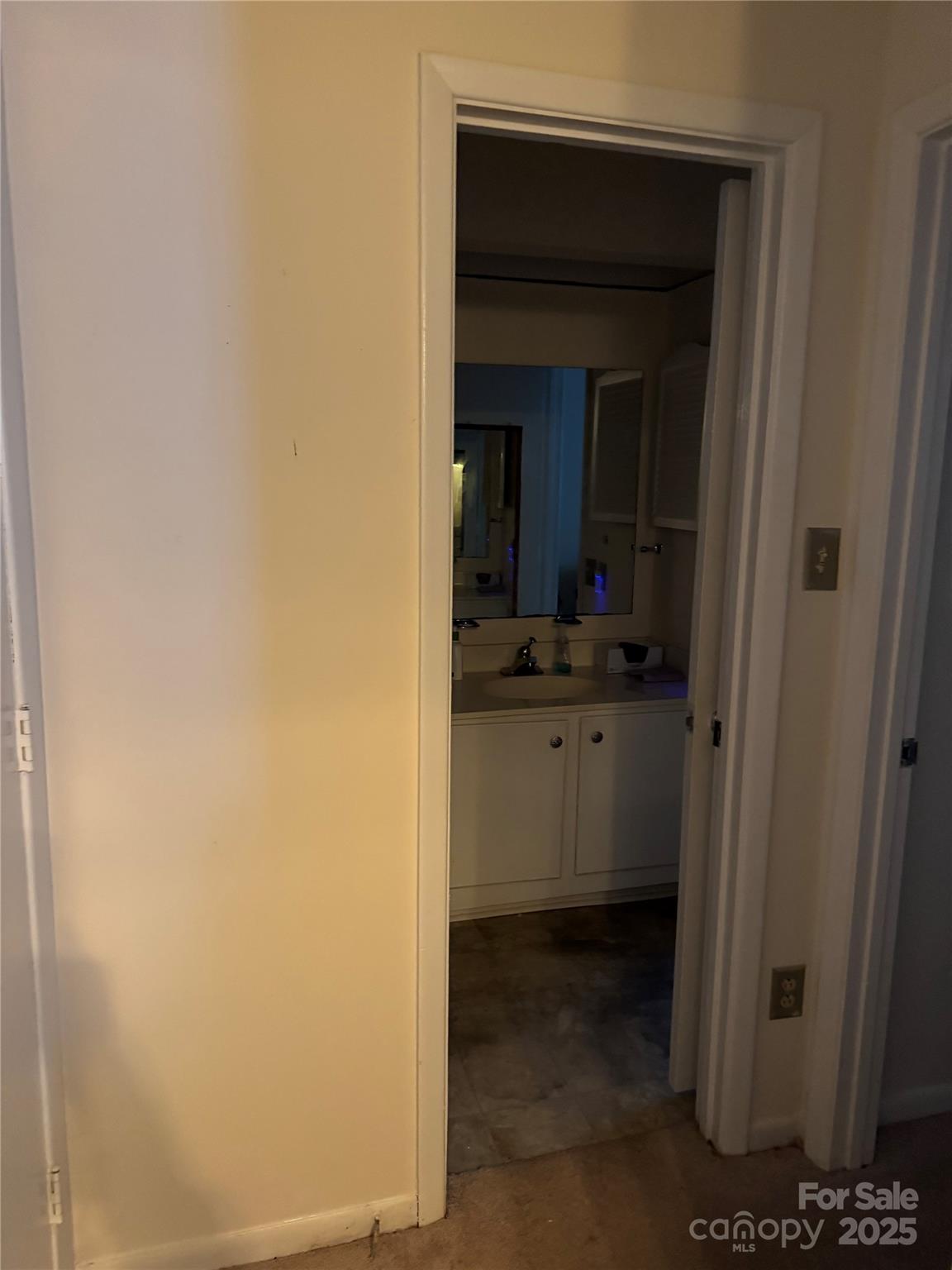 819 Sardis Cove Drive