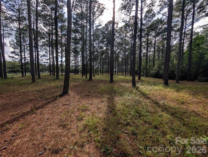 Rare opportunity to own a beautiful 5-acre parcel offering the perfect blend of privacy, rural charm, and convenience. Located in county jurisdiction with NO city taxes, this flat and usable property is increasingly hard to find this close to town. Mature pine trees provide a natural buffer and peaceful setting while still allowing plenty of space to build your dream home.

The property is zoned RMX-20 and will require a private well and septic system. Protective CCRs are in place to help preserve the rural character, aesthetic appeal, and long-term property values of the surrounding homes and acreage parcels. Restrictions include a minimum 1,800 heated square feet, single-family homes only, and no further subdivision of the land.

Whether you're dreaming of a custom home with room to spread out, space for outdoor living, or simply enjoying the peace of country living without sacrificing convenience, this property offers a rare combination of flexibility, privacy, and location.