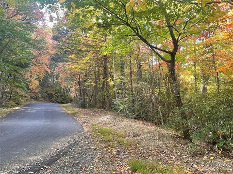  in Lake Lure NC 00 Quail Ridge Road.jpg