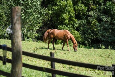 Photo of 48 Silent Forest Drive, Canton, NC 28716 (MLS # 4417094)