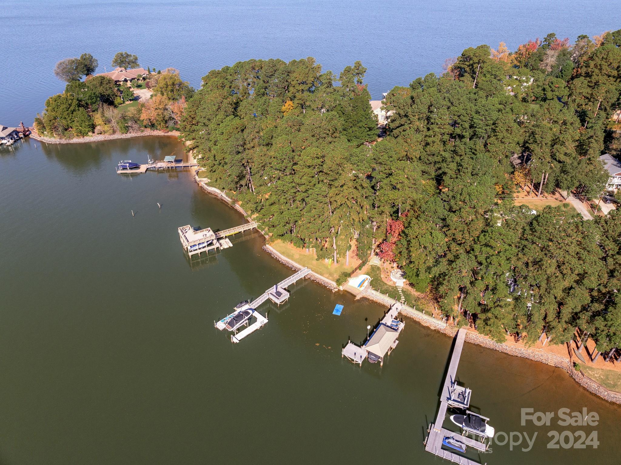 Island Forest - Residential