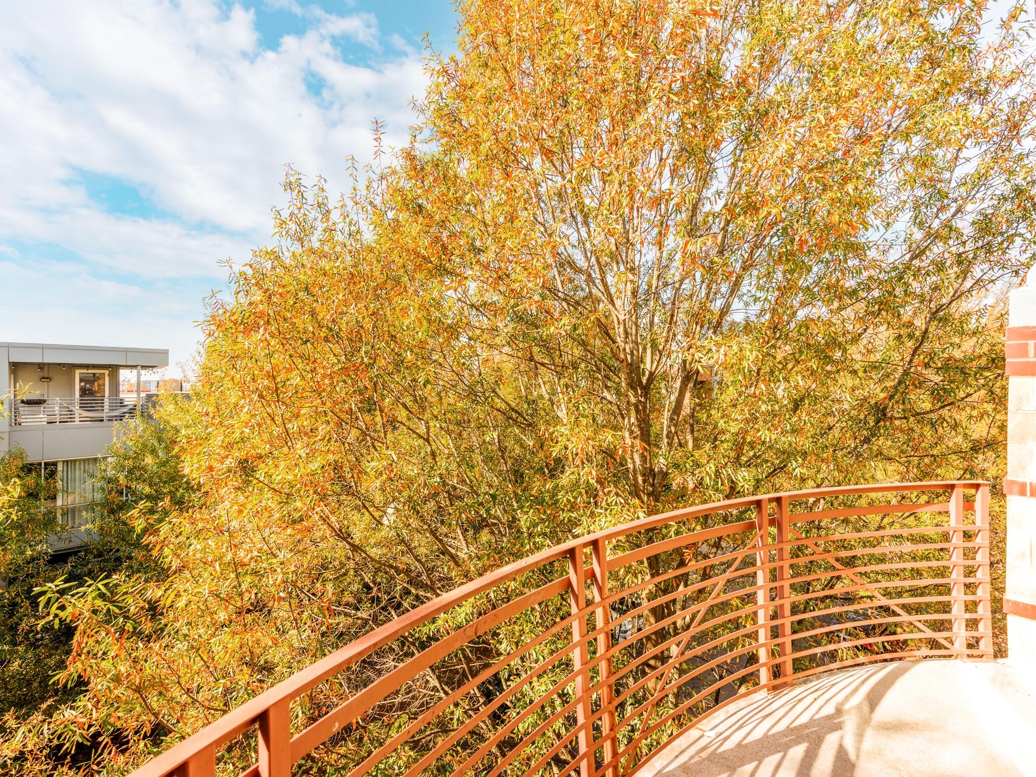 The Village of South End - Residential