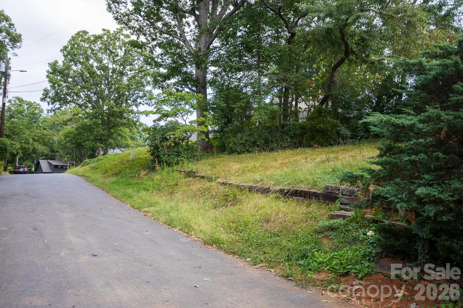 99999 Pine Cone Drive, Asheville, NC, 28805