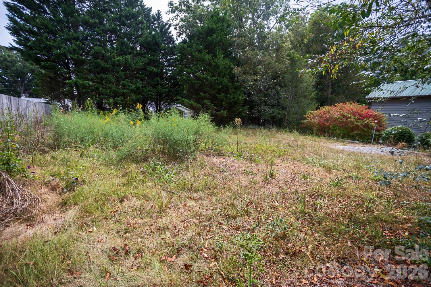 99999 Pine Cone Drive