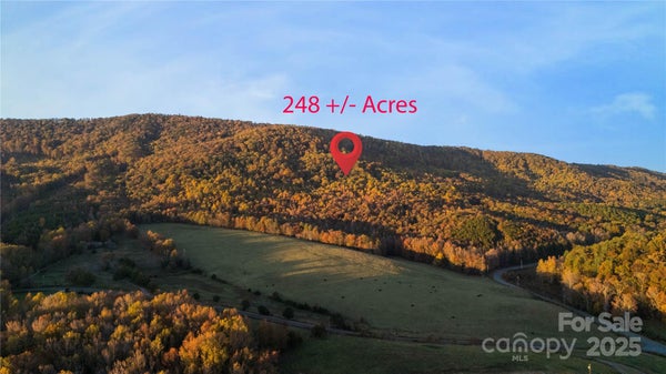 WARDS GAP RD, CASAR, NC 28020 - Image 9f21d8ed4e12f8ca95d5ffedd1e05b47/3486834305
