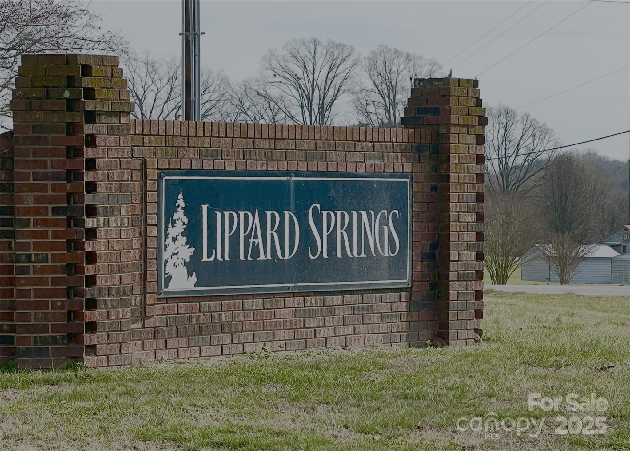 Lippard Springs - Residential