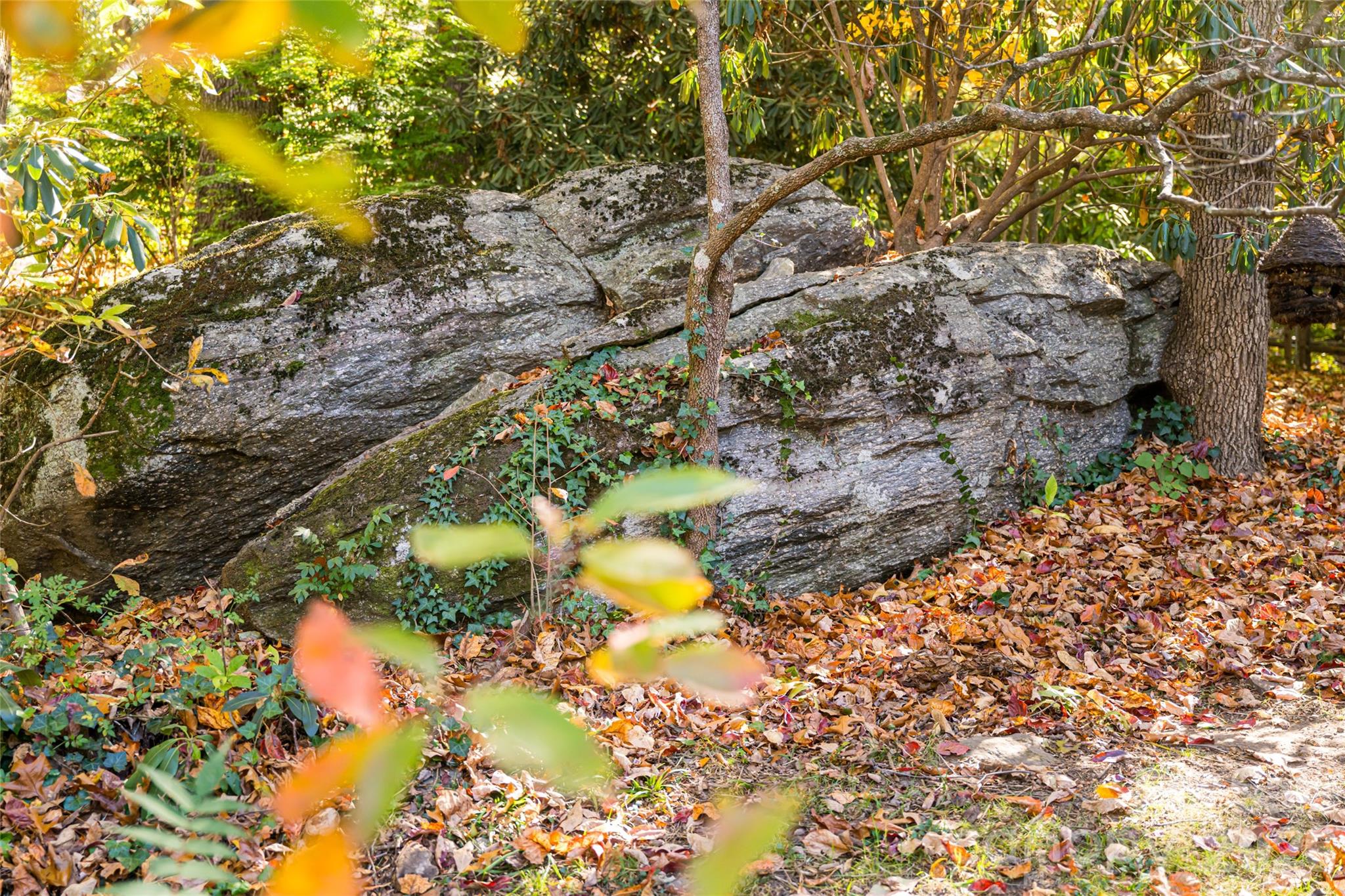 Sugar Hollow - Residential