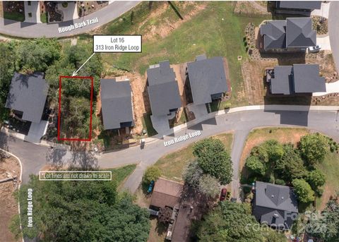 313 Iron Ridge Loop 16 Asheville NC 28806