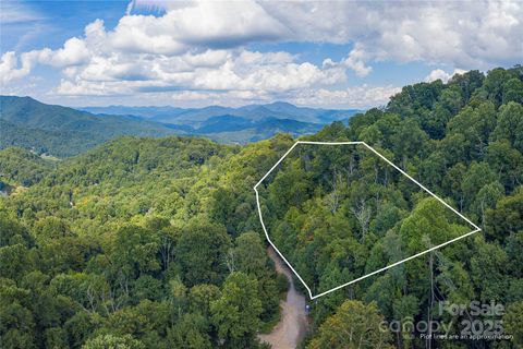00 Pitch Fork Cove 525 Waynesville NC 28785