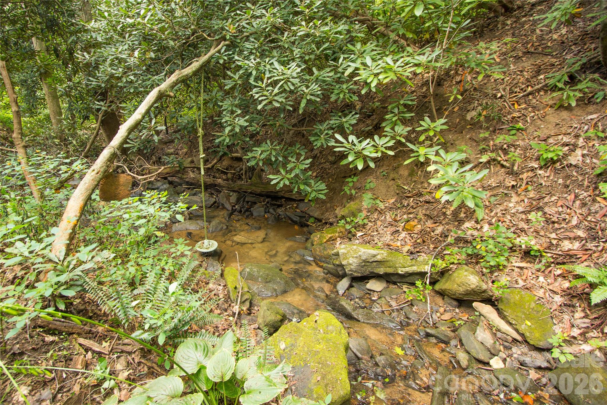 Poplar Ridge - Residential