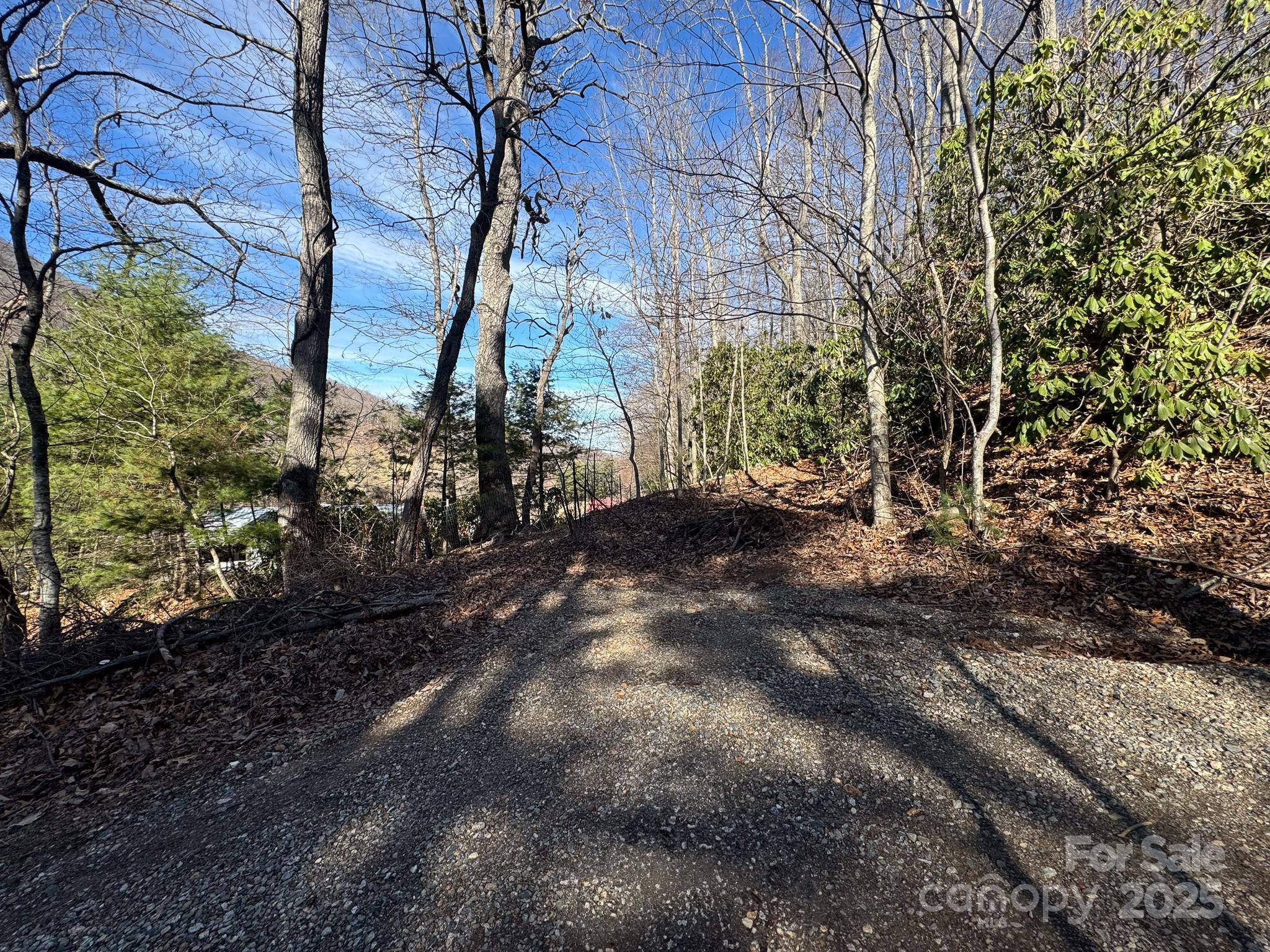 99999 Dark Cove Road