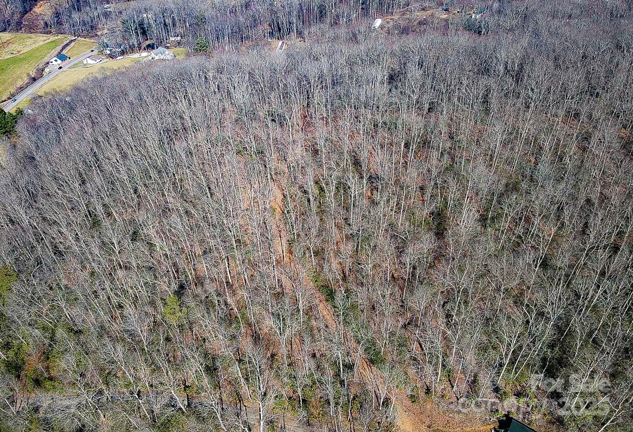 99999 Dark Cove Road