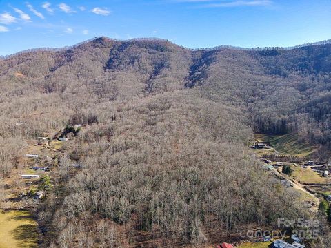 99999 Dark Cove Road Leicester NC 28748
