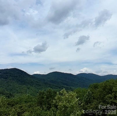 RIDGECREST DR, LAKE LURE, NC 28746 - Image 9f4dcb088a55a0b171972e2111aec0fb/3954150064