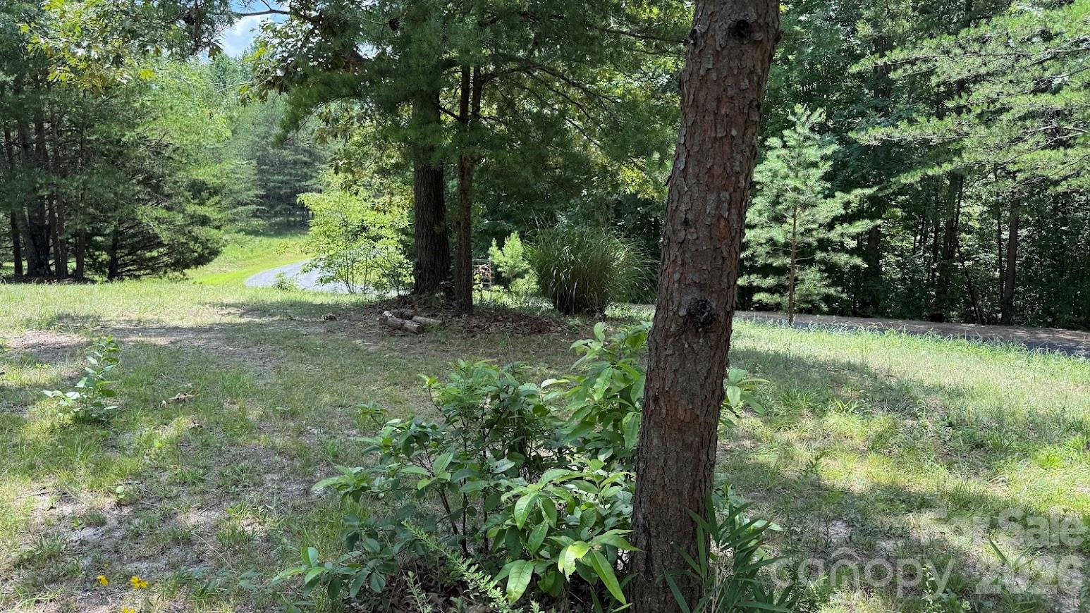 00 Fallen Tree Lane 19