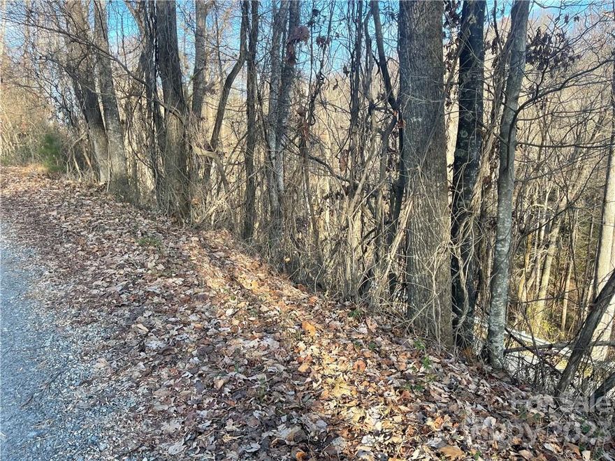 This can be your chance to own land in the pristine and private gated community of Riverbend at Lake Lure! This property has access to a private lake, river, and beach! Don't miss out on this opportunity!

This combined lot has 2 different parcels over 1 acres with ONE HOA FEE!
