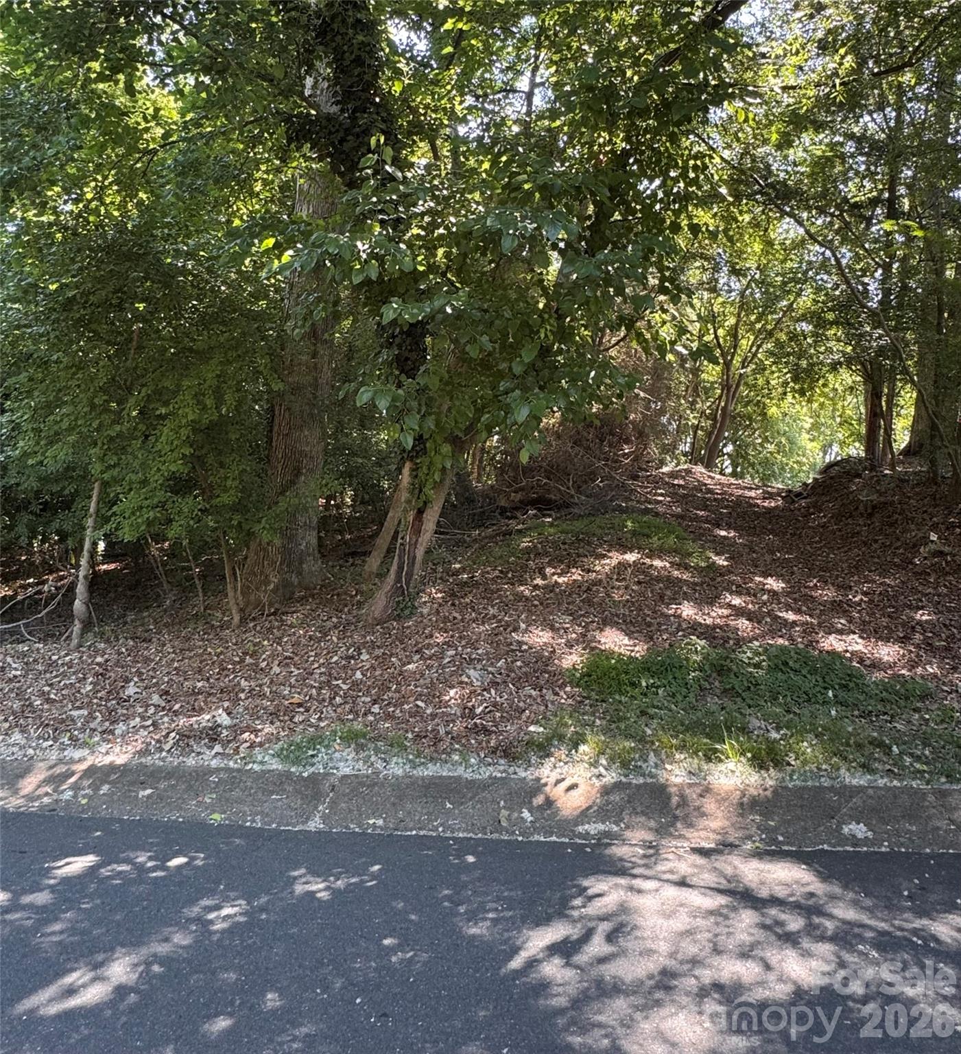 0 Maymont Drive 4