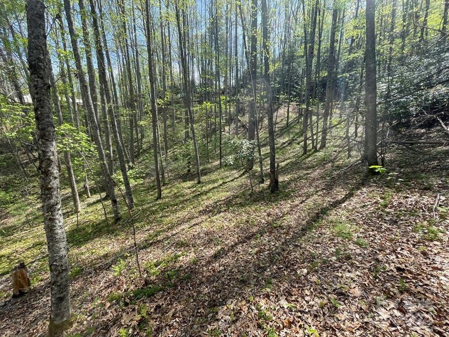 Located in the Panther Creek Community of Haywood Co. This 1.4 +/- acre lot is in the Little Pine Mountain Estates Subdivision. It is  waiting for you to put your own mountain home on! Secluded, with possible long range views if depending on placement of home site. The lot has a  sloping/rolling terrain and can be accessed from Cawood Ln at the top or Rules Run at the bottom.