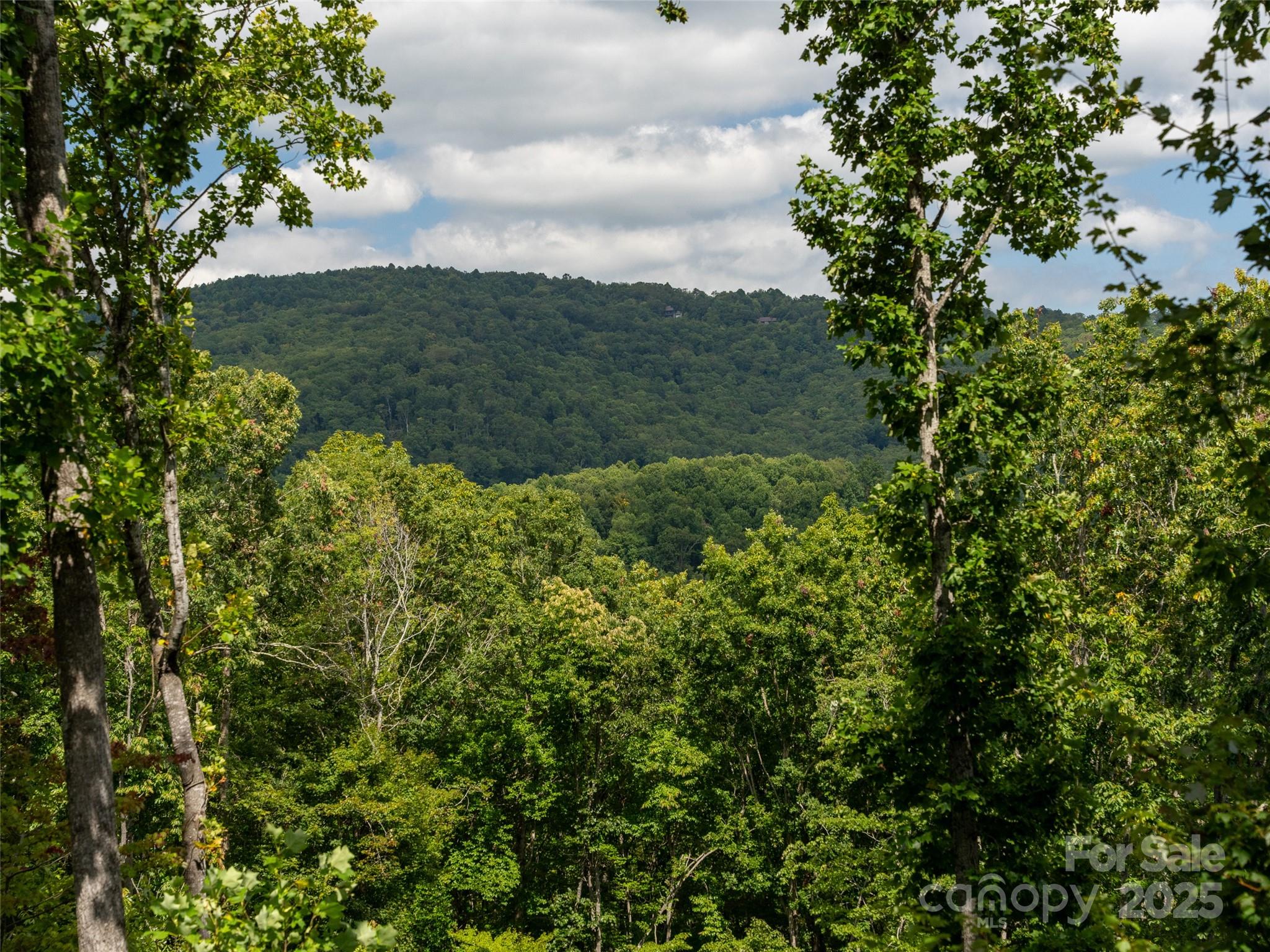 Poplar Ridge - Residential