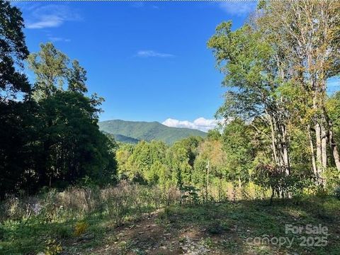 89 Cisco Cove R8 Waynesville NC 28786