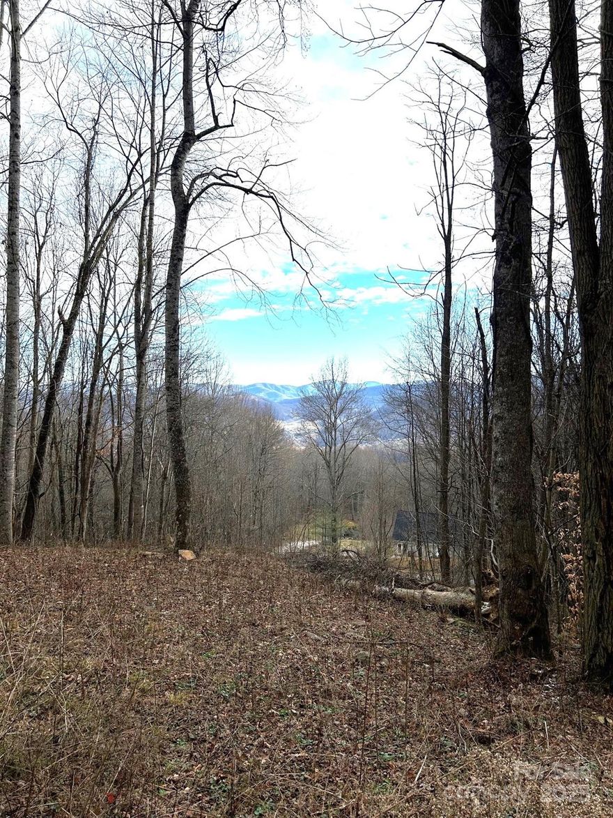 Come build your mountain retreat or part time residence in the beautiful and serene 1.57 acre lot in "The Willows" that has been mostly cleared and a gravel entrance started. Year round mountain views for miles with the ability to open up more. All the lots that are surrounding this property are 1.7 acres and up giving you plenty of privacy. Located within minutes to Jonathan Creek giving you great easy access to Maggie Valley and downtown Waynesville. Perc tested approved for a 3 bedroom septic that expires on 7.2.2026. Great gated community to begin your journey to amazing mountain living. Schedule a showing today.