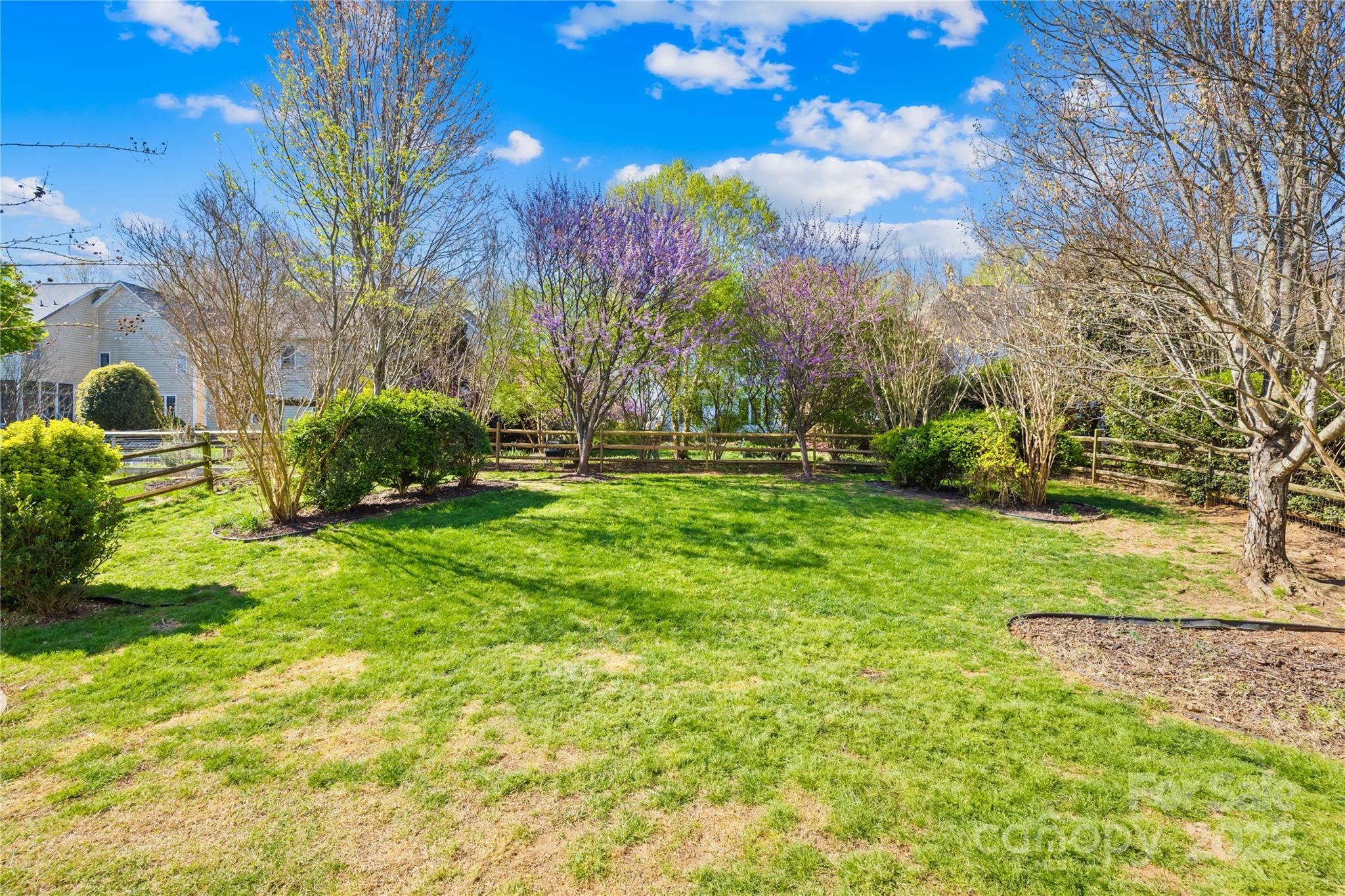 Macaulay - Residential