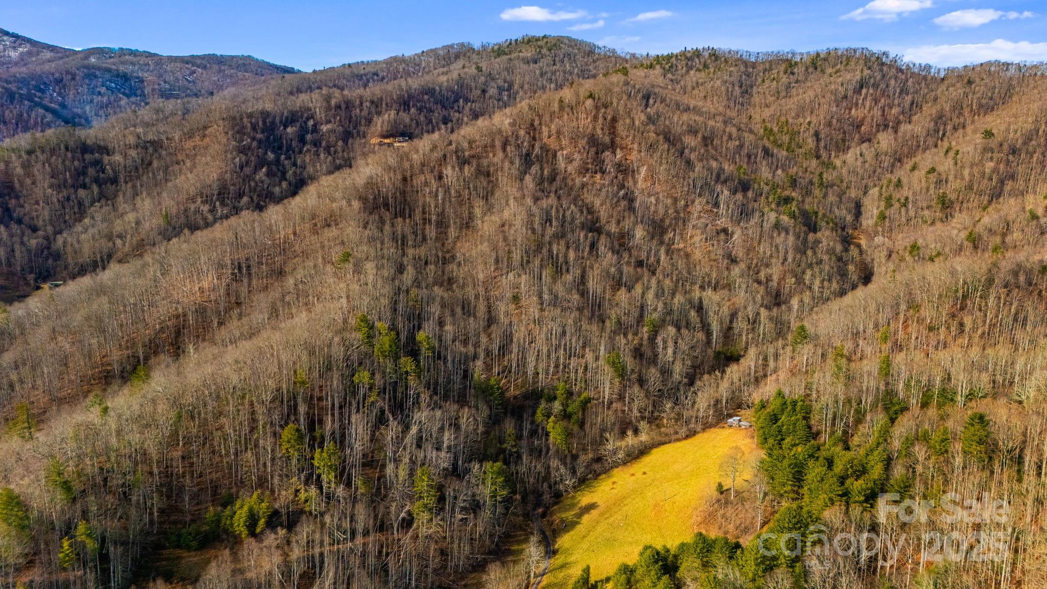 TBD Lost Hollow Road