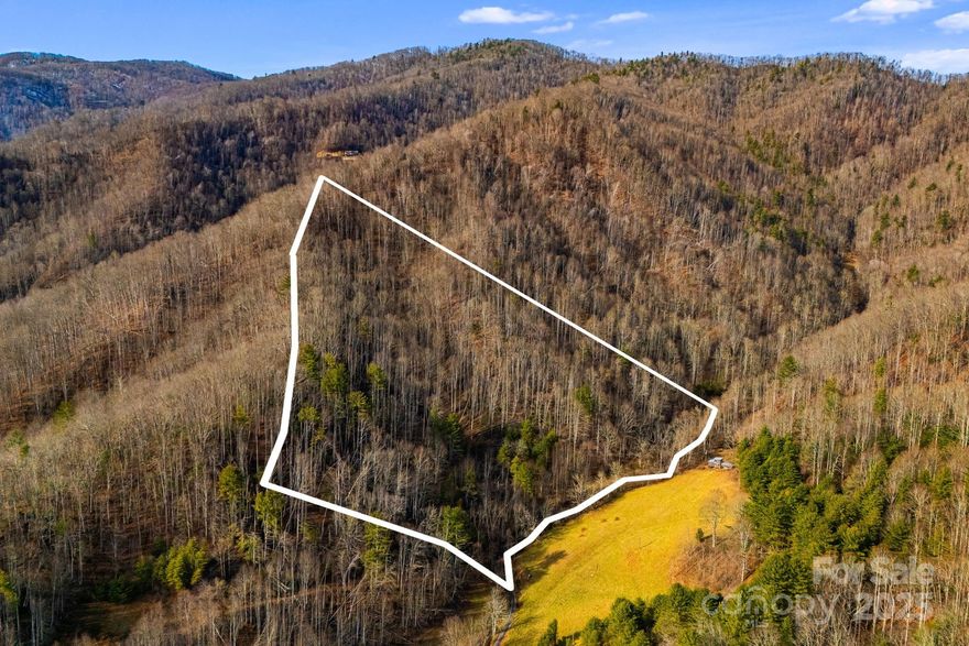 A great opportunity to own land in Yancey County. Situated a few minutes from the Cane River, this property features an old home site, cleared & flat area near the road, and the balance in forest, this property offers many possibilities. Priced below current tax value, it sits adjacent to a babbling creek running along Lost Hollow Rd. Nearby Little Creek is home to native brook trout and the Cane River offers a variety of fishing opportunities. Only about 15 miles to downtown Burnsville. Long range mountain views available from the top of property and thinning would open it up even more. Abundant wildlife shares this tract to include whitetail deer, turkey and the occasional bear. This property would make a great private estate, investment or recreational tract. Bring your hiking boots and put this property on your list! You can see the Property Video here: https://listings.wncrealestatephotography.com/videos/019b47b8-c63b-7104-a0c6-0b682779437d - Per Sellers, upper property line is at the gate with purple paint - please do not go on neighboring property.