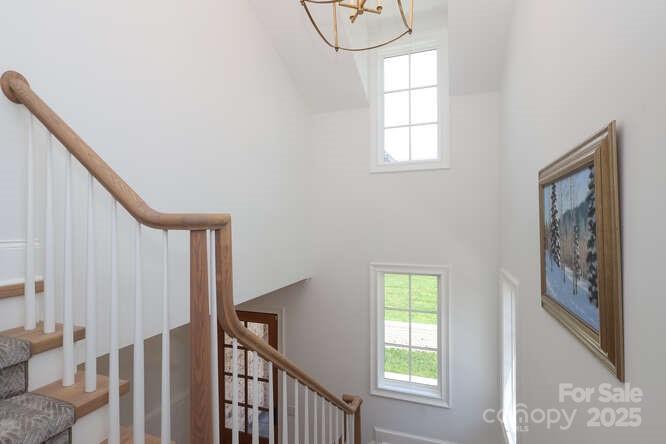 Midwood - Residential