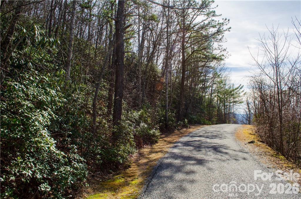 99999 Red Oak Forest Road 1418